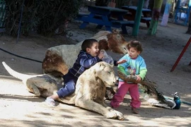 “Rùng mình” trước cảnh lấy xác thú khô làm đồ chơi ở Gaza