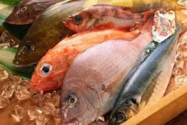 8 loại cá biển giàu dinh dưỡng tốt cho sức khỏe