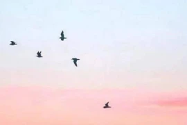 20 câu nói thần kỳ nhất thế gian, đọc một lần, lợi cả đời!