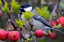 Sinh Âm lịch kết thúc bằng 4 số này, giàu có đến muộn