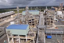 Đề xuất ngừng Nhà máy đạm Phú Mỹ và Cà Mau đến khi nào?