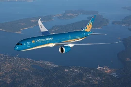Cổ phiếu HVN bị hạn chế giao dịch, Vietnam Airlines có doanh thu thế nào?