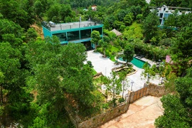 ‘Mua bán đất rừng Sóc Sơn là bất hợp pháp'