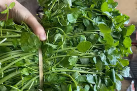 Những siêu thực phẩm vừa lợi tiêu hóa vừa nuôi dưỡng đường ruột