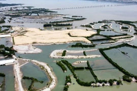 Công ty Thị Nại Eco Bay từng dính các lùm xùm nào?