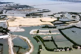 Công ty Thị Nại Eco Bay từng dính các lùm xùm nào?