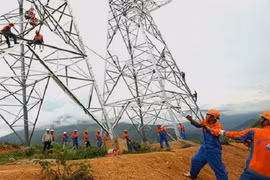 “Soi sức khỏe” tài chính công ty Sông Đà 11 bị phạt 380 triệu