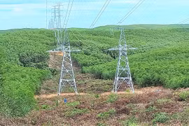 Liên danh Kevin - Hanaka trúng gói thầu điện Phước An hơn 88 tỷ đồng