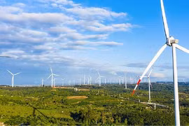 Liên tiếp thua lỗ, nợ phải trả Điện gió Trung Nam gấp 4,7 lần vốn chủ sở hữu