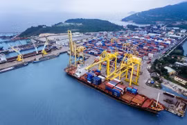 Cty Cảng Rau Quả trả cổ tức bằng tiền mặt: “Soi” tình hình tài chính