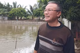 Hải Dương: Nuôi cá chình nhàn tênh, mỗi năm lãi nửa tỷ đồng