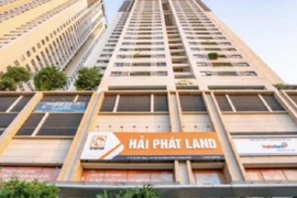 Cổ phiếu kẹt sàn, DN bị kiểm tra thuế, Hải Phát vẫn ghi nhận lãi