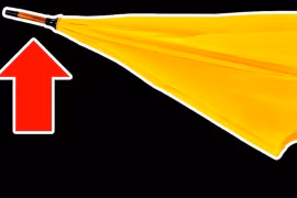 Tại sao ô có đầu nhọn + 19 kiến thức ẩn giấu mà chỉ 1% biết