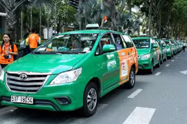 Doanh thu taxi Mai Linh ra sao khi thay 10.000 xe Toyota mới trong 5 năm?