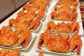 Đại gia bất động sản mua 72 con cua Hoàng đế đãi nhân viên