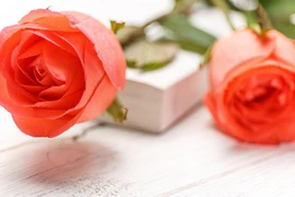 Ai có ngày sinh Âm lịch kết thúc bằng 4 số này, về già ấm no