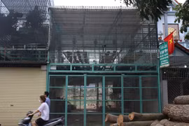 Người thân nói về chủ vườn lan bị tố ôm 200 tỷ bỏ trốn