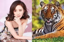 Từ ngày 10 đến 14/1 Âm lịch, Nam Tào chấm sổ 3 tuổi đổi vận