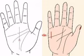Lòng bàn tay có 3 dấu hiệu phúc lộc sâu dày