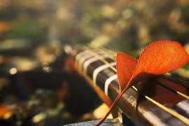 Đến nhà bạn trai thấy nhà to, đất rộng tôi vội vàng cưới