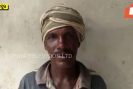 Bị rắn cạp nia cắn, người đàn ông có màn trả thù táo bạo