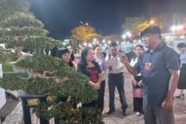 Phú Yên: Hội sinh vật cảnh tổ chức Triển lãm sinh vật cảnh