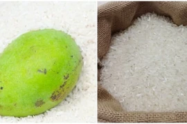 Gạo không chỉ để nấu cơm, chúng còn có 9 tác dụng kỳ diệu nữa