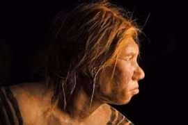 Những chủng người tiền sử hiện đang sinh sống ở đâu?