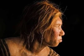 Những chủng người tiền sử hiện đang sinh sống ở đâu?