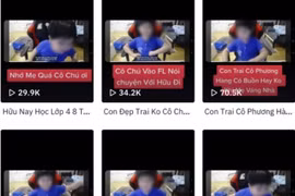 Bà Phương Hằng vừa bị bắt, quý tử đã bị lợi dụng để 'câu like'