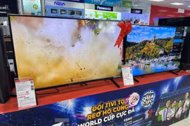 Dịch vụ cho thuê tivi, máy chiếu nóng cùng World Cup