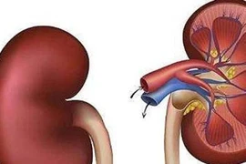 Nếu có 4 thay đổi bất thường này, rất có thể thận đã bị tổn thương