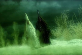 Tại sao Hắc Bạch Vô Thường kéo được hồn Tôn Ngộ Không xuống âm phủ?