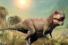 Nghiên cứu mới phát hiện sự thật bất ngờ về khủng long bạo chúa