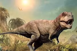 Nghiên cứu mới phát hiện sự thật bất ngờ về khủng long bạo chúa