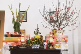 Hoa cúng nên cắm bao nhiêu bông: Không phải 7 hay 9