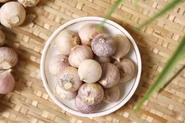 Công dụng tuyệt vời của tỏi cô đơn với sức khỏe