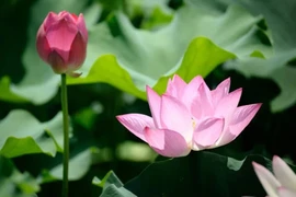 Khi cuộc sống không như ý, bạn nên thường xuyên làm hai điều này