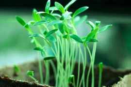 Dấu hiệu sắp gặp vận may của một người