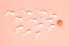 Sau mắc COVID-19, khả năng sinh sản của nam giới bị ảnh hưởng bao lâu?