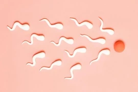 Sau mắc COVID-19, khả năng sinh sản của nam giới bị ảnh hưởng bao lâu?