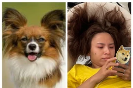 Nữ diễn viên Vbiz đứng vẫn không cao bằng Kỳ Duyên ngồi