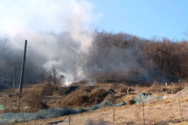 Chiến đấu cơ của Không quân Hàn Quốc gặp nạn