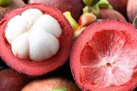 Mua măng cụt cứ nhắm quả to là sai lầm