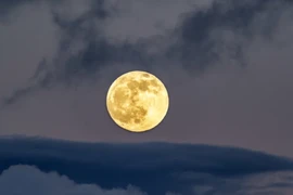 Trái đất có "Mặt trăng thứ hai" trong ít nhất 300 năm tới?