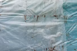 Nếu ăn thức ăn đựng trong túi ni lông lâu ngày sẽ có tác hại gì?