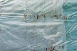 Nếu ăn thức ăn đựng trong túi ni lông lâu ngày sẽ có tác hại gì?