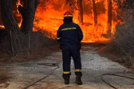 Cháy rừng, nắng nóng tiếp diễn ở nhiều nơi