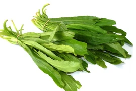 Loại rau quen thuộc trong vườn giúp hạ mỡ máu