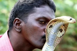 Tại sao con người không tiến hóa để có thể sở hữu nọc độc?